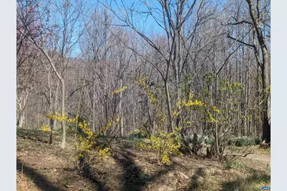 2005 Upper Stony Run, Greenwood, VA 22943 - Photo 43