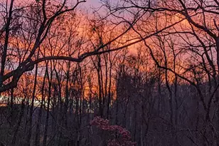 2005 Upper Stony Run, Greenwood, VA 22943 - Photo 9