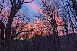 2005 Upper Stony Run, Greenwood, VA 22943 - Photo 19