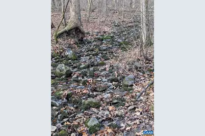 2005 Upper Stony Run, Greenwood, VA 22943 - Photo 39