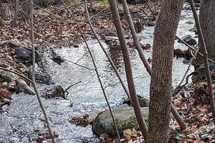 2005 Upper Stony Run, Greenwood, VA 22943 - Photo 3