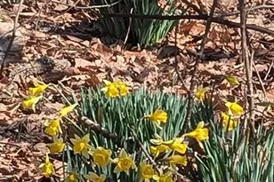 2005 Upper Stony Run, Greenwood, VA 22943 - Photo 31