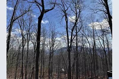 145 Firtree Dr, Wintergreen Resort, VA 22967 - Photo 3