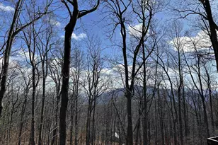 145 Firtree Dr, Wintergreen Resort, VA 22967 - Photo 3