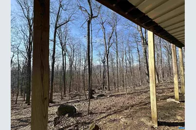 145 Firtree Dr, Wintergreen Resort, VA 22967 - Photo 43