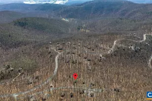 145 Firtree Dr, Wintergreen Resort, VA 22967 - Photo 53