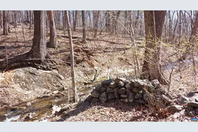 2005 Upper Stony Run #10, Greenwood, VA 22943 - Photo 59