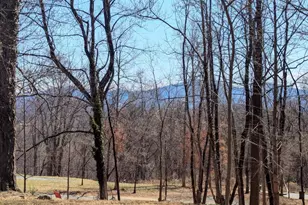 2005 Upper Stony Run, Greenwood, VA 22943 - Photo 1