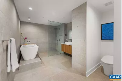 218 W Water St #705, Charlottesville, VA 22902 - Photo 5