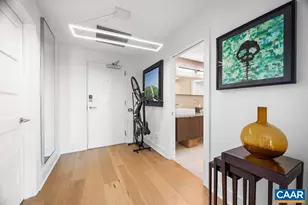 218 W Water St, Charlottesville, VA 22902 - Photo 33