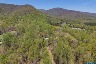 6928 Blackwells Hollow Rd, Crozet, VA 22932 - Photo 19