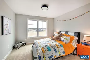 12 Steep Rock Pl, Charlottesville, VA 22911 - Photo 31