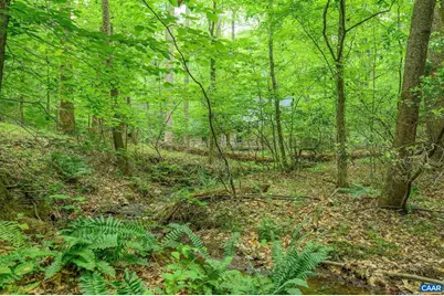 1816 Davis Shop Rd, Earlysville, VA 22936 - Photo 69