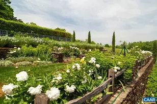 1790 Lambs Rd, Charlottesville, VA 22901 - Photo 39