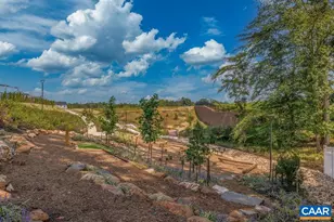 20 Steep Rock Pl, Charlottesville, VA 22911 - Photo 29