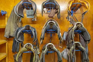 9313 Greenfield Farm, Scottsville, VA 24590 - Photo 11