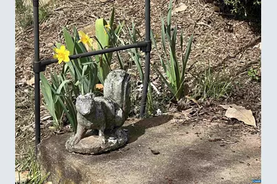 6088 Blue Run Rd, Somerset, VA 22972 - Photo 45