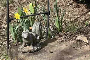 6088 Blue Run Rd, Somerset, VA 22972 - Photo 45