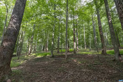 Tbd Decca Ln, Charlottesville, VA 22901 - Photo 3