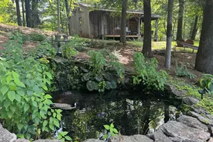 1950 Locust Hollow Rd, Charlottesville, VA 22903 - Photo 35