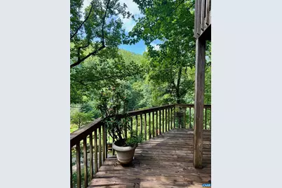 1950 Locust Hollow Rd, Charlottesville, VA 22903 - Photo 11