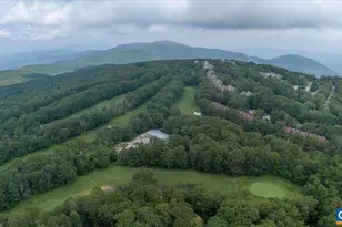 2226 Tanners Ridge Condos, Wintergreen Resort, VA 22967 - Photo 59