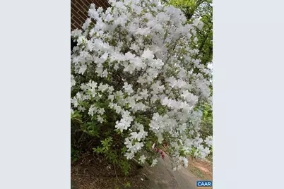 1211 Lanetown Rd, Crozet, VA 22932 - Photo 47