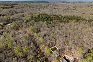 2102 N Lakeshore Dr, Louisa, VA 23093 - Photo 49