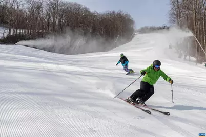 2031 Stone Ridge Condos, Wintergreen, VA 22967 - Photo 19