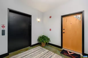 211 Cream St, Charlottesville, VA 22903 - Photo 13