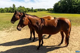 27233 Horseshoe Rd, Culpeper, VA 22701 - Photo 61