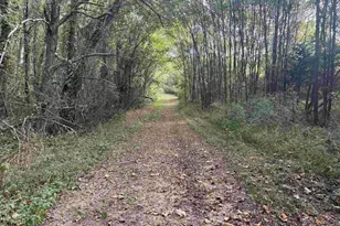 27233 Horseshoe Rd, Culpeper, VA 22701 - Photo 73