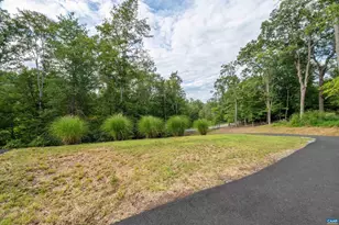 329 Carrsbrook Dr, Charlottesville, VA 22901 - Photo 65