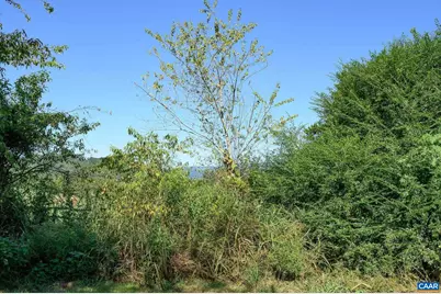 6265 Midway Rd, Charlottesville, VA 22903 - Photo 57