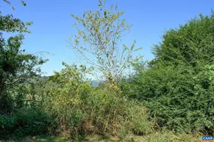 6265 Midway Rd, Charlottesville, VA 22903 - Photo 57