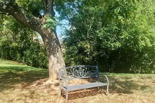 1217 Chatham Ridge, Charlottesville, VA 22901 - Photo 13