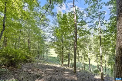 318 Miller School Rd, Charlottesville, VA 22903 - Photo 67