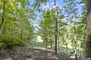 318 Miller School Rd, Charlottesville, VA 22903 - Photo 67