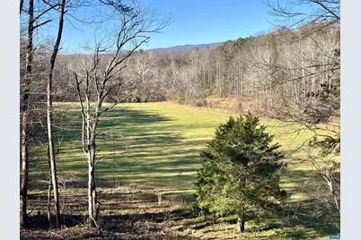 318 Miller School Rd, Charlottesville, VA 22903 - Photo 71