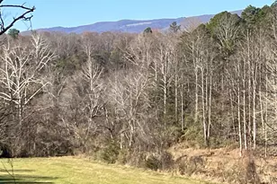 318 Miller School Rd, Charlottesville, VA 22903 - Photo 75