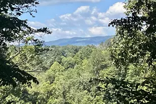 318 Miller School Rd, Charlottesville, VA 22903 - Photo 55