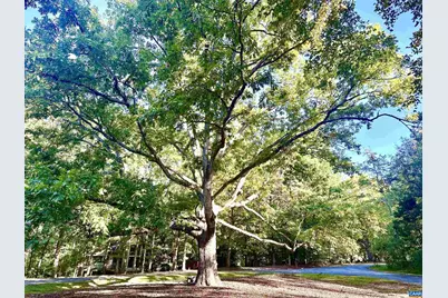 651 Big Oak Rd, Charlottesville, VA 22903 - Photo 49