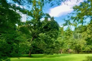 651 Big Oak Rd, Charlottesville, VA 22903 - Photo 51