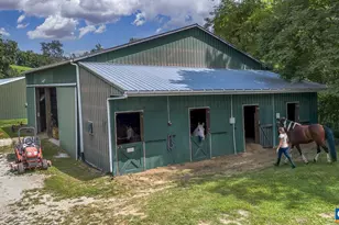 9195 Springwood Rd, Buchanan, VA 24066 - Photo 11