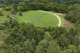 9195 Springwood Rd, Buchanan, VA 24066 - Photo 19