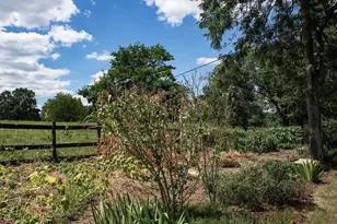 424 Balsley Rd, Staunton, VA 24401 - Photo 39