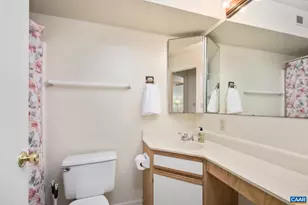 103 Turtle Creek Rd, Charlottesville, VA 22901 - Photo 13