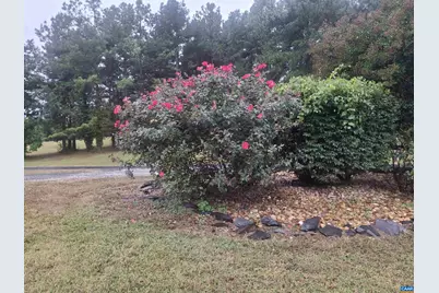 220 Camden St, Dillwyn, VA 23936 - Photo 21