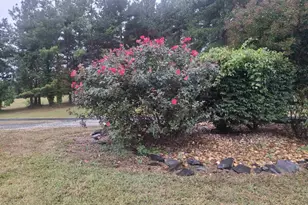 220 Camden St, Dillwyn, VA 23936 - Photo 21