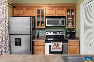 755 Laurelwood Condos, Wintergreen Resort, VA 22967 - Photo 7